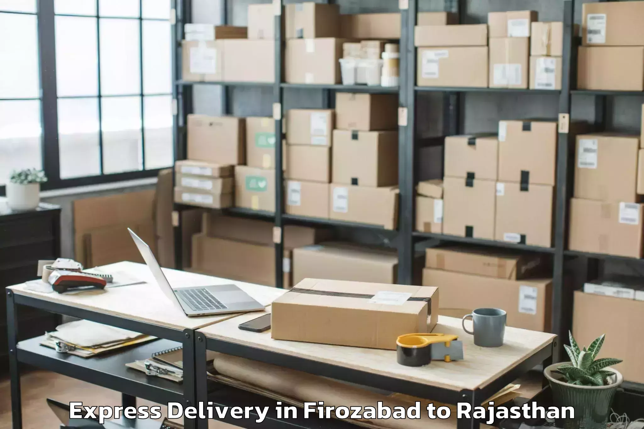 Reliable Firozabad to Mohanlal Sukhadia University U Express Delivery